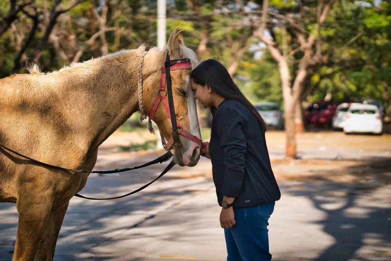 Photo d’illustration : une femme pose son front contre celui d’un cheval.